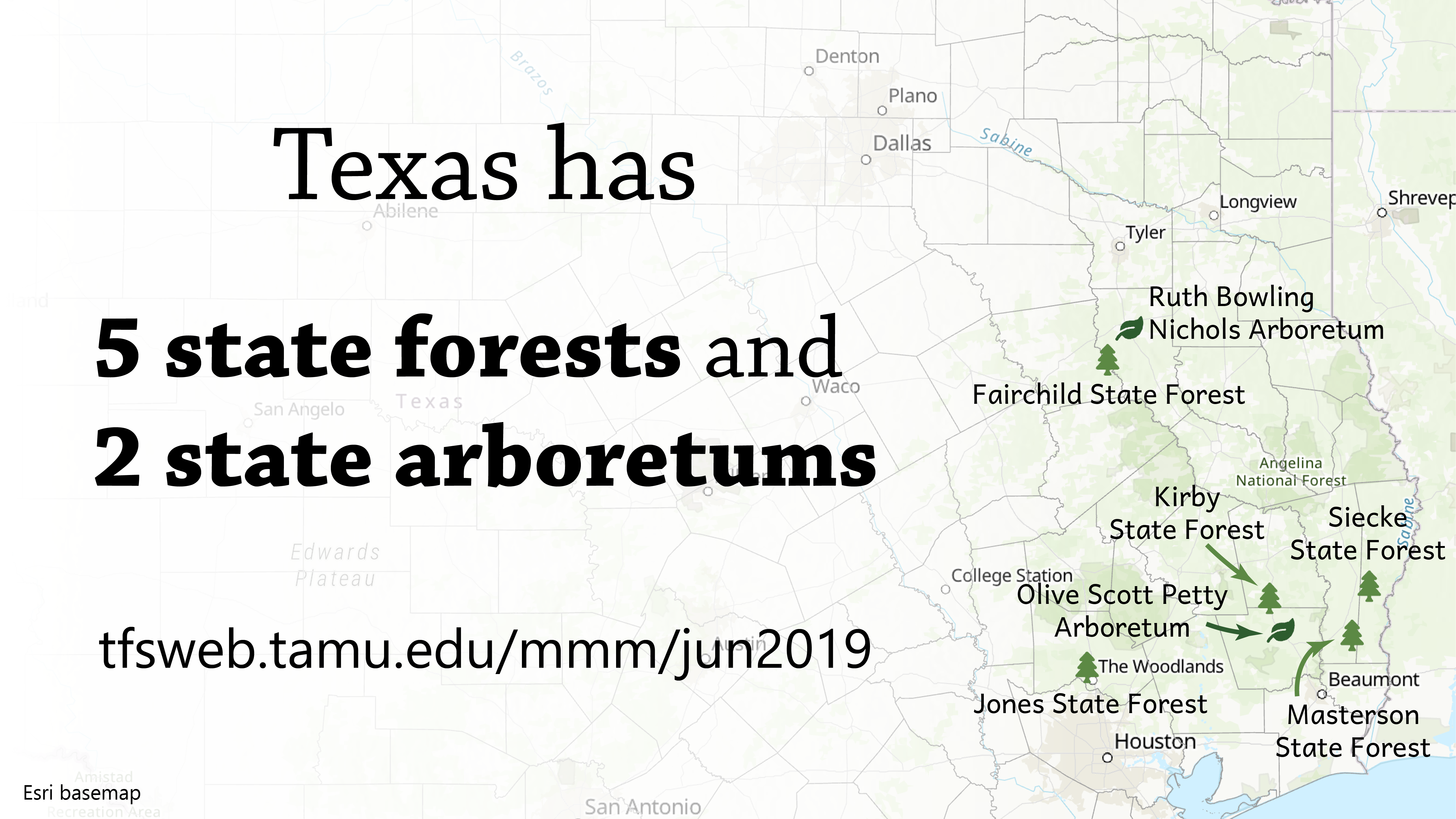 Texas State Forests and Arboretums Texas State Forests and Arboretums